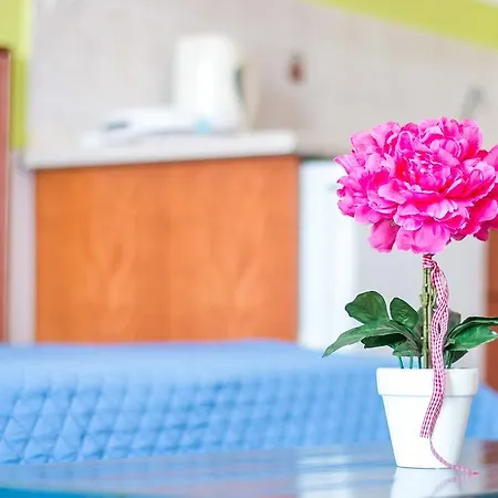 Mosaic Gardens * Φαληράκι