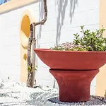 Mosaic Gardens