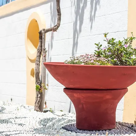 Mosaic Gardens
